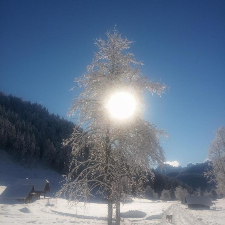 Huatscher Camporosso  Luaran gambar