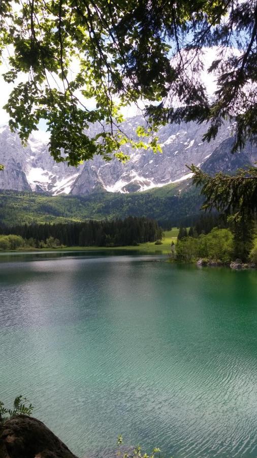 Huatscher Camporosso  Luaran gambar