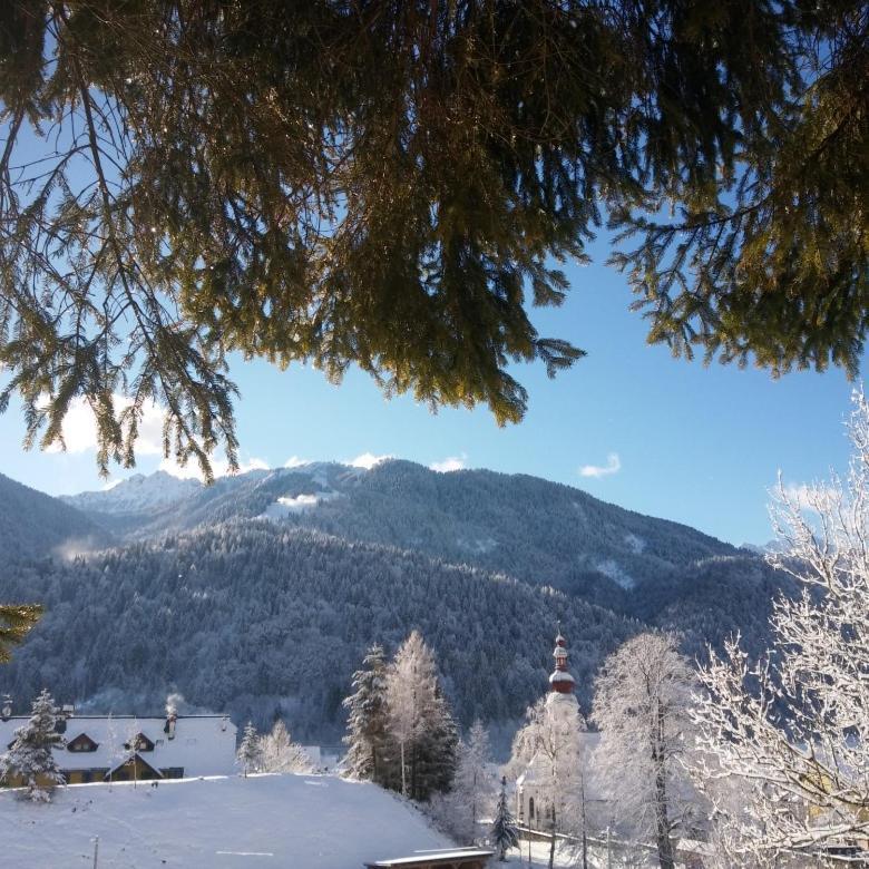 Huatscher Camporosso  Luaran gambar